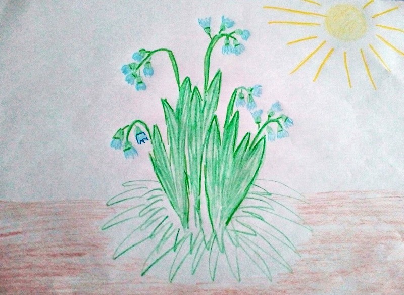 IMG-dd67332ec4ec5f41cd1967070e3d5f04-V